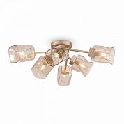 FR5095CL-06G Люстра